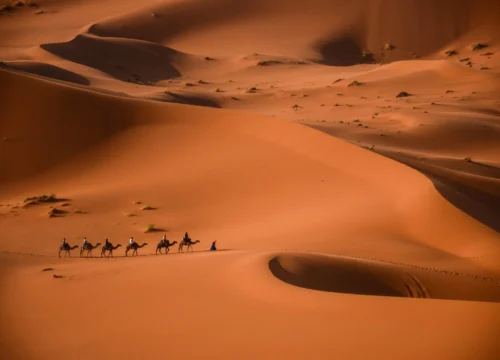 Journey Through the Sahara: Exploring Morocco’s Enchanting Desert